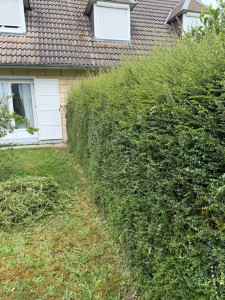 Photo de galerie - Haie 