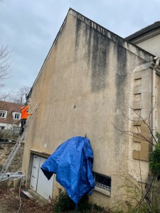 Photo de galerie - Traitements et nettoyage