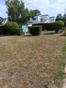 Photo de galerie - Taille d'arbustes.
