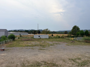 Photo de galerie - Tonte de pelouse - Débroussaillage