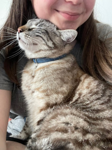 Photo de galerie - Garde de chats (et autres animaux !) ?