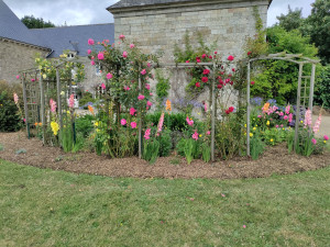 Photo de galerie - Parterre de fleurs