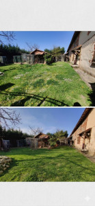 Photo de galerie - Tonte 
