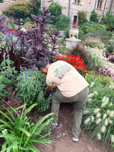 Photo de galerie - Paysagiste - Aménagement du jardin