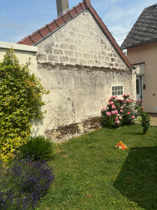 Photo de galerie - Nettoyage et remise en peinture du pignon avant Nettoyage