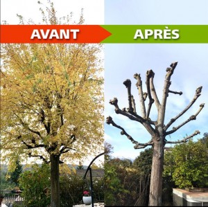 Photo de galerie - Avant - après 