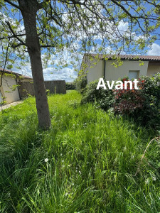 Photo de galerie - Débroussaillage 