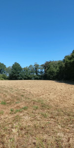Photo de galerie - Gros débroussaillage d'une pâture
avec le télécommandée à chaîne de broyage.