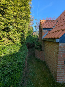 Photo de galerie - Taille de haies et d'arbustes