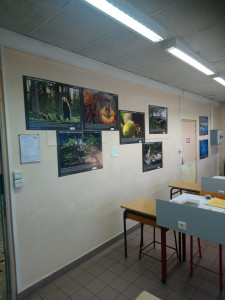 Photo de galerie - Soutien scolaire