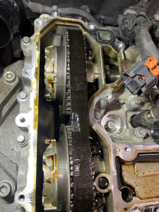 Photo de galerie - Distribution 