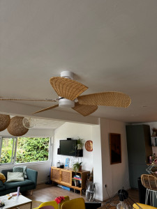 Photo de galerie - Ventilateur de plafond 