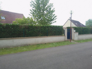 Photo de galerie - Taille de haies et d'arbustes