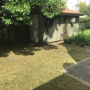 Photo de galerie - Tonte de pelouse - Débroussaillage