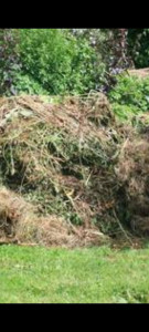 Photo de galerie - Évacuation déchets - Gravats