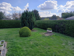 Photo de galerie - Taille de haie