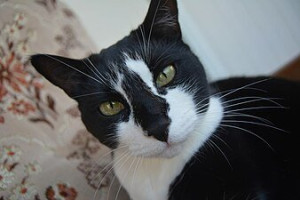 Photo de galerie - ...........................