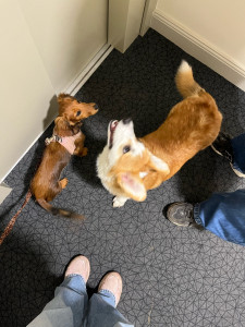 Photo de galerie - ??‍?