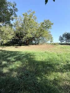 Photo de galerie - Après 