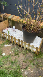 Photo de galerie - Création de massif 