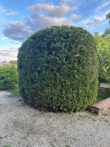 Photo de galerie - Après 