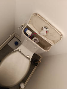 Photo de galerie - Remplacement d eau 