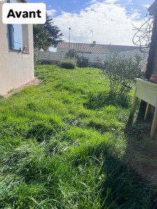 Photo de galerie - Tonte de pelouse - Débroussaillage