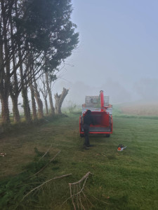 Photo de galerie - Broyage des branches 