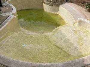 Photo de galerie - Nettoyage piscine avant 