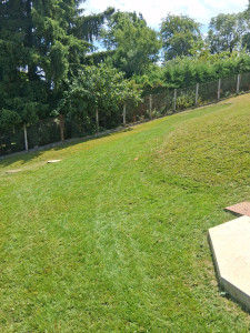 Photo de galerie - Paysagiste - Aménagement du jardin