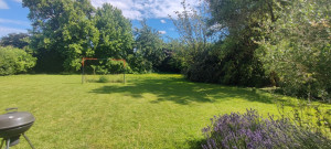 Photo de galerie - Mon jardin assez grand pour un chien 