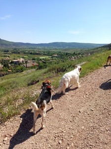 Photo de galerie - Randonnée au château du village ☀️