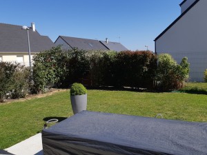 Photo de galerie - Taillage de haie 