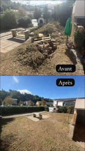 Photo de galerie - Tonte de pelouse débroussaillage 
