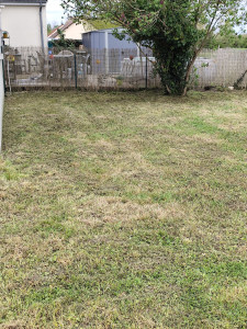 Photo de galerie - Tonte d'une pelouse et passage de débroussailleuse sur les abord 