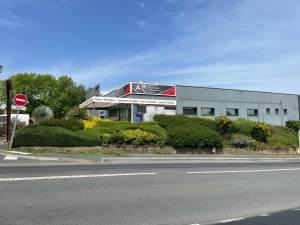 Photo de galerie - Tailles d’entretien de talus difficile d’accès (avant)