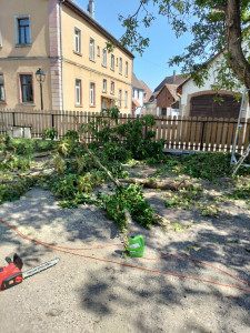 Photo de galerie - Découpe chez particulier 