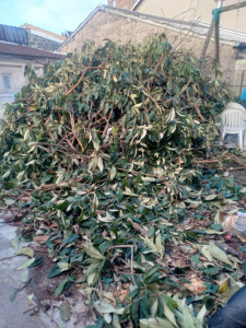 Photo de galerie - Évacuation déchets - Gravats