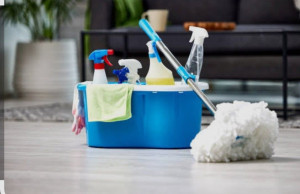 Photo de galerie - Dame de 45 ans aide ménagère avec 7 ans expériences chez les particuliers 