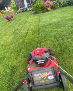 Photo de galerie - Tonte de pelouse et autres aides