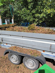 Photo de galerie - Coupe