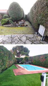 Photo de galerie - Taille de haie