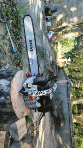 Photo de galerie - Ms460 vs tronc 