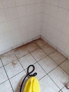 Photo de galerie - Avant : Nettoyage d’une maison apres depart locataire 
Je viens d’enlever les saletés et je commence par passer du produit et laver à la vapeur pour enlever le gras , avant de frotter le sol . 