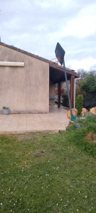 Photo de galerie - Elagage et coupe d'arbres