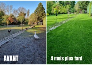 Photo de galerie - Préparation de terrain 