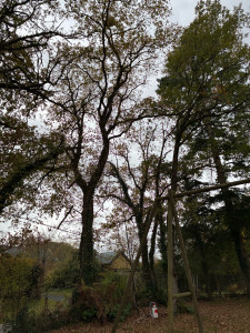 Photo de galerie - Jardinier