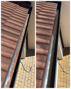 Photo de galerie - Couverture - Toiture