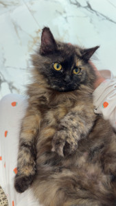 Photo de galerie - ?