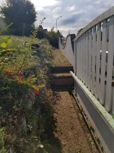 Photo de galerie - Tonte de pelouse - Débroussaillage